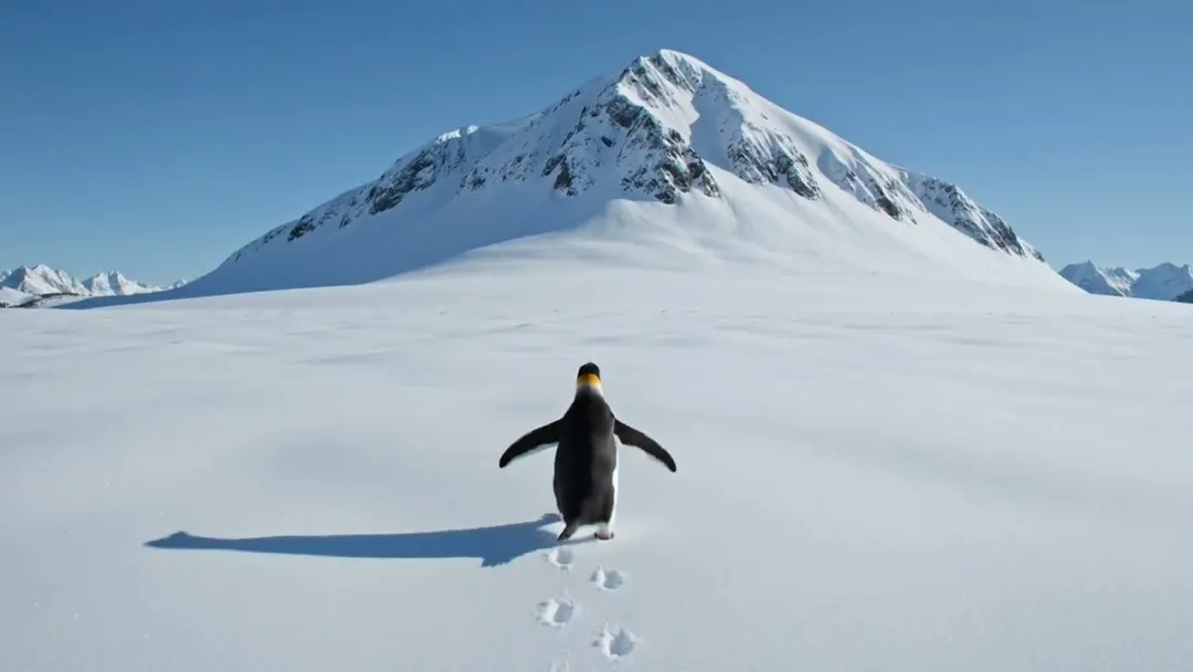 Grok Imagine Video