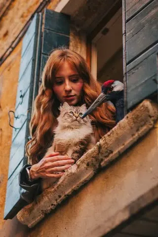 Odam, mushuk va qush bitta sahnada