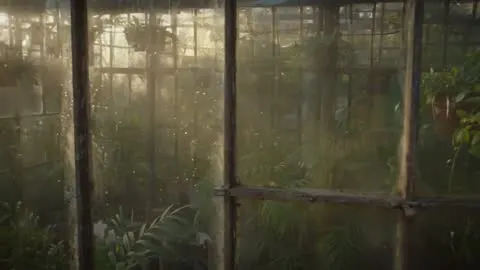 Tumanli issiqxona boʻylab